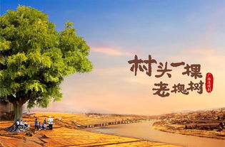 西安文藝創(chuàng)作精品打響古都文化品牌 抒寫(xiě)精彩中國(guó)故事